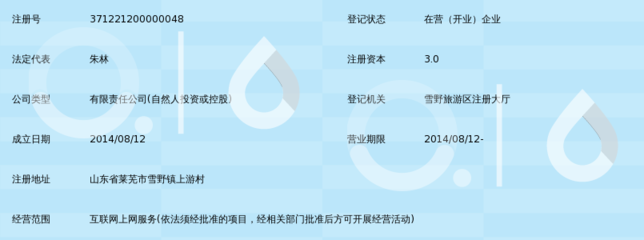 莱芜市同赢时代紫林网络
